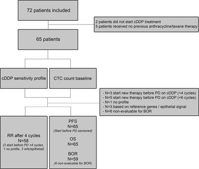 Prospective Evaluation of a Circulating Tumor Cell Sensitivity Profile to Predict Response to Cisplatin Chemotherapy in Metastatic Breast Cancer Patients